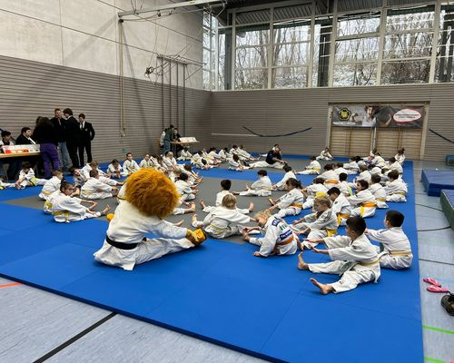 Judo - Leo Cup zu gast beim TVC