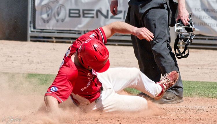 DBL: Reds splitten Heimspielserie gegen Regensburg