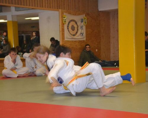 Training Judo