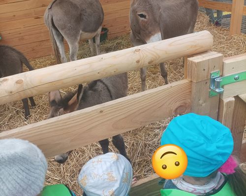 Unser Ausflug zum LWH