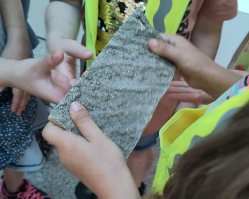 Wir besuchen das Naturkundemuseum 